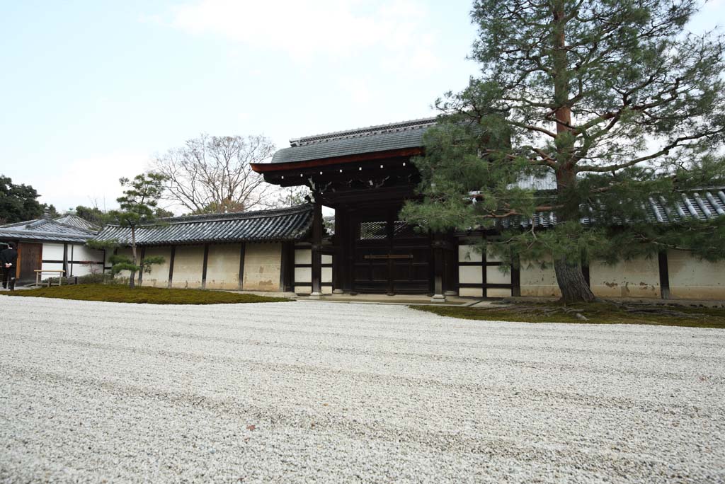 foto,tela,gratis,paisaje,fotografa,idea,Jardn rocoso de Tenryu - ji, Chaitya, Grava, Herencia de mundo, Sagano