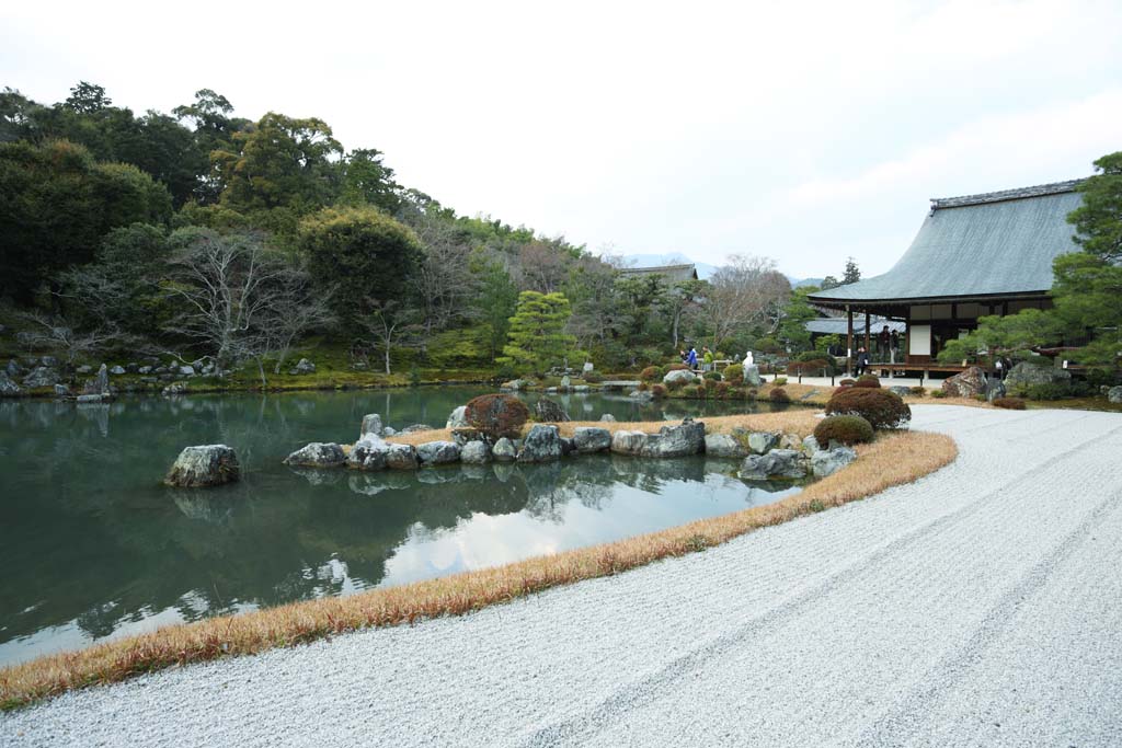 Foto, materiell, befreit, Landschaft, Bild, hat Foto auf Lager,Tenryu-ji-Garten, Chaitya, Teich, Welterbe, Sagano