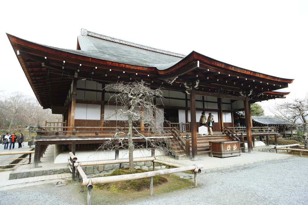 ,,, ,,,- nyorai Taho Tenryu-ji., Chaitya.,   ,  , Sagano.