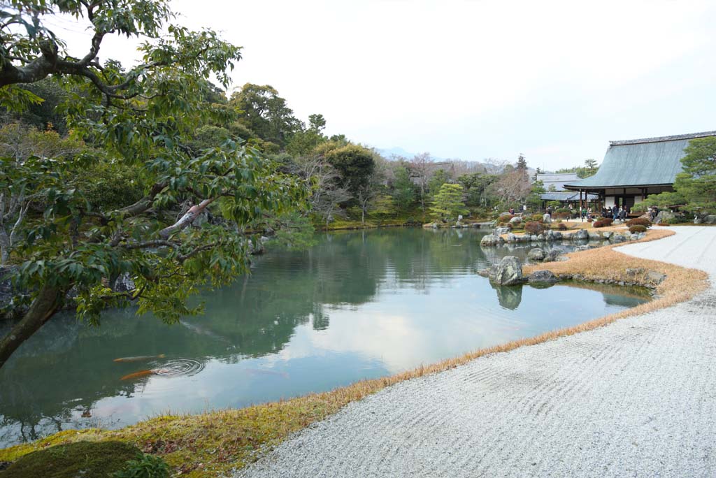 Foto, materiell, befreit, Landschaft, Bild, hat Foto auf Lager,Tenryu-ji-Garten, Chaitya, Teich, Welterbe, Sagano