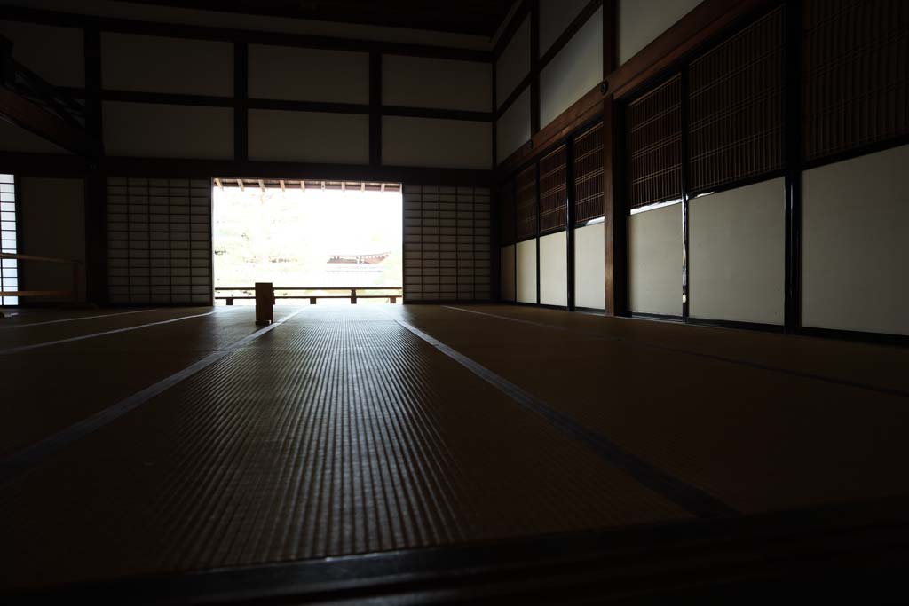 fotografia, materiale, libero il panorama, dipinga, fotografia di scorta,Tenryu-ji la grande lunghezza di porzione, Chaitya, stuoia di tatami, eredit di mondo, Sagano