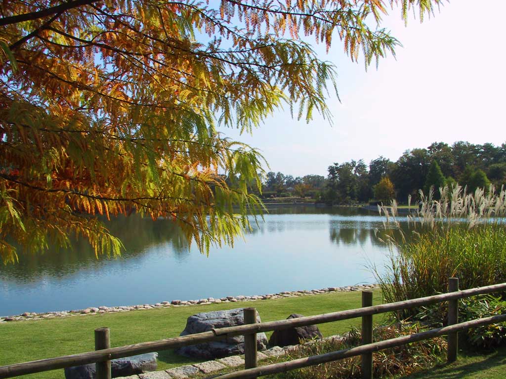 Foto, materieel, vrij, landschap, schilderstuk, bevoorraden foto,Waterplas in een vroege herfst etmaal, Waterplas, Herfst laat, , 