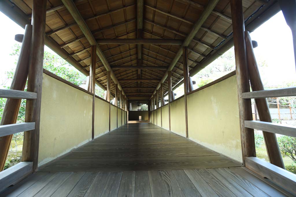 Foto, materieel, vrij, landschap, schilderstuk, bevoorraden foto,Tenryu-ji bekapten passage koppelende gebouwen, Chaitya, Kamer met een van hout verdieping, Wereld heritage, Sagano