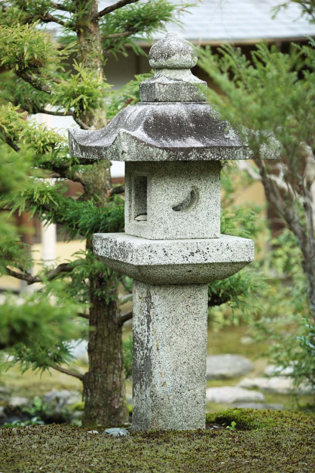 Foto, materiell, befreit, Landschaft, Bild, hat Foto auf Lager,Tenryu-ji-Garten, Chaitya, Der Mond, Welterbe, Sagano