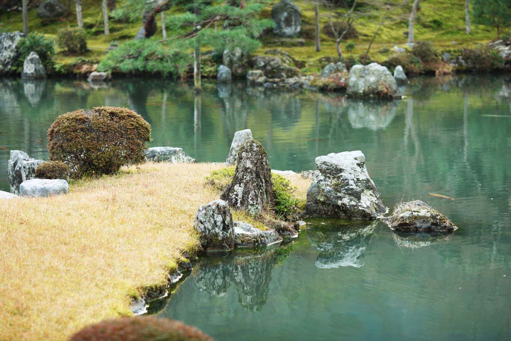 fotografia, materiale, libero il panorama, dipinga, fotografia di scorta,Tenryu-ji fa del giardinaggio, Chaitya, stagno, eredit di mondo, Sagano