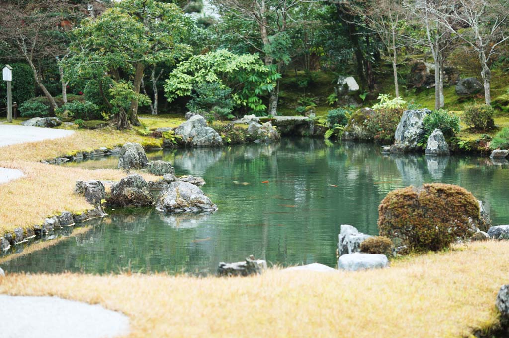 Foto, materieel, vrij, landschap, schilderstuk, bevoorraden foto,Tenryu-ji tuinieren, Chaitya, Waterplas, Wereld heritage, Sagano