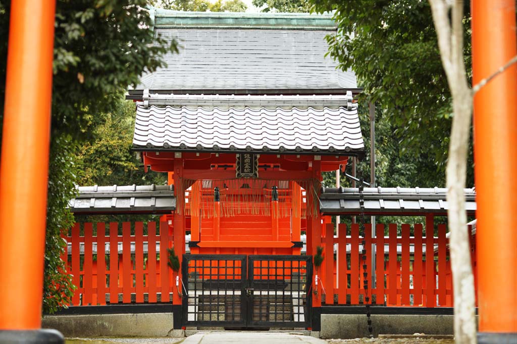 fotografia, materiale, libero il panorama, dipinga, fotografia di scorta,Sacrario di Tenryu-ji, Sacrario scintoista, Io sono dipinto in rosso, eredit di mondo, Sagano