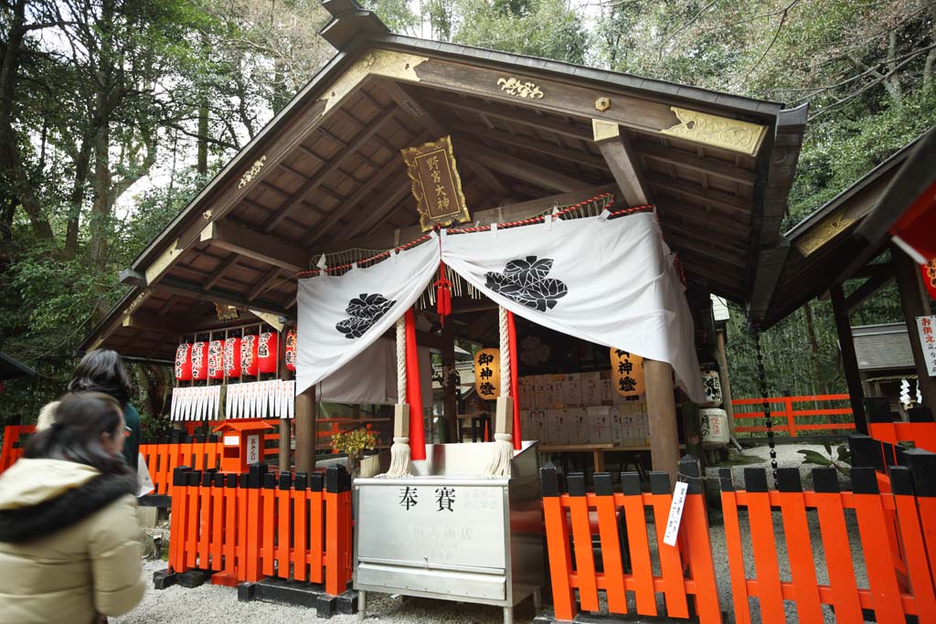 photo,material,free,landscape,picture,stock photo,Creative Commons,Nomiya Shrine, , Maiden Imperial princess group line, Saiku line, Shinto shrine