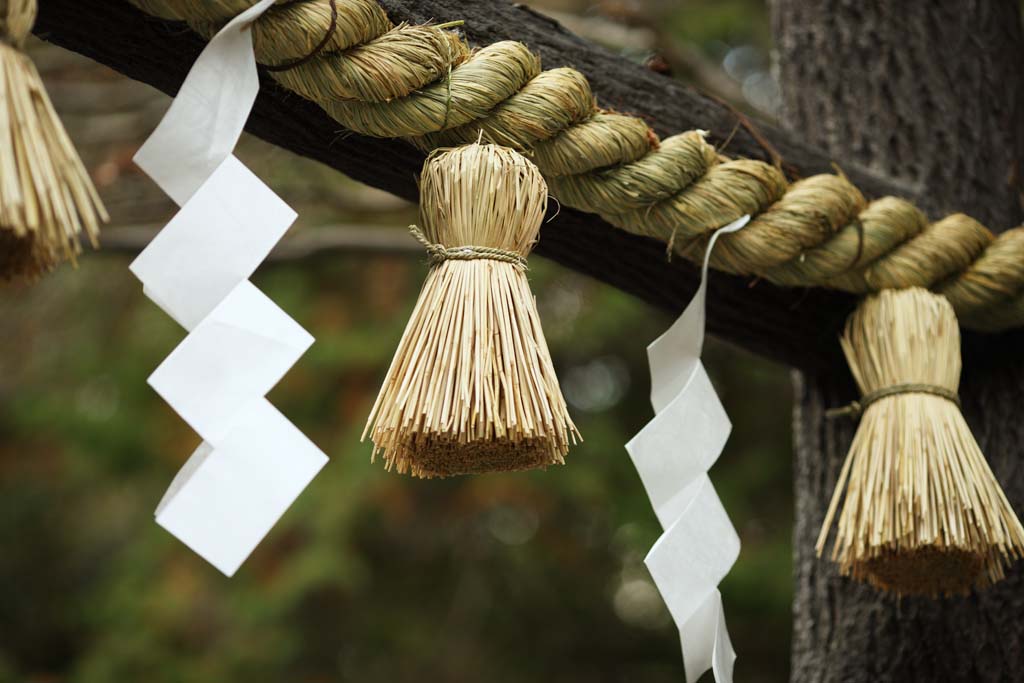 Foto, materiell, befreit, Landschaft, Bild, hat Foto auf Lager,Nomiya Shrine dekorierte heilige Strohgirlande, Stroh, Schintoismus, Dekoration, Schintoistischer Schrein