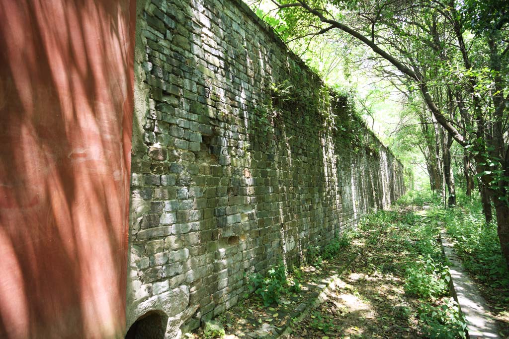 fotografia, material, livra, ajardine, imagine, proveja fotografia,Um Ming Xiaoling parede de castelo de Mausolu, Ishigaki, Eu sou pintado em vermelho, parede, floresta