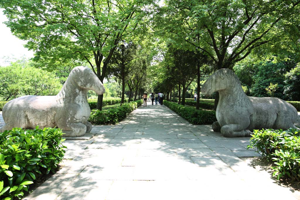 Foto, materieel, vrij, landschap, schilderstuk, bevoorraden foto,Een Ming Xiaoling Mausoleum stenig standbeeld straat, Verblijft, Stenig standbeeld, Een benadering van een heiligdom, Wereld heritage