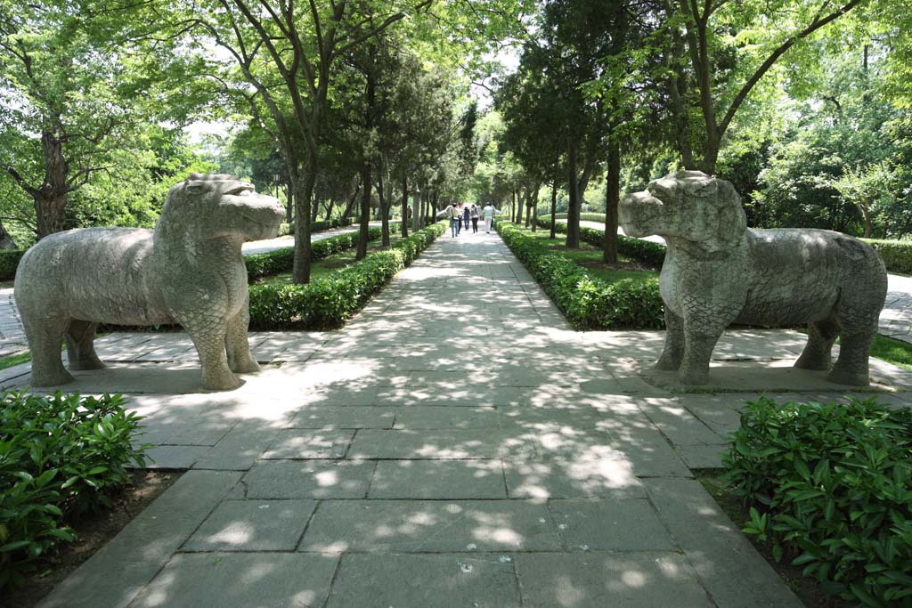 Foto, materiell, befreit, Landschaft, Bild, hat Foto auf Lager,Ein Ming Xiaoling Mausoleum steinigt Statuenstrae, berreste, steinigen Sie Statue, Ein Ansatz zu einem Schrein, steinigen Sie Tier