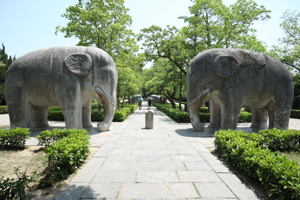 Foto, materiell, befreit, Landschaft, Bild, hat Foto auf Lager,Ein Ming Xiaoling Mausoleum steinigt Statuenstrae, berreste, steinigen Sie Statue, Ein Ansatz zu einem Schrein, Welterbe