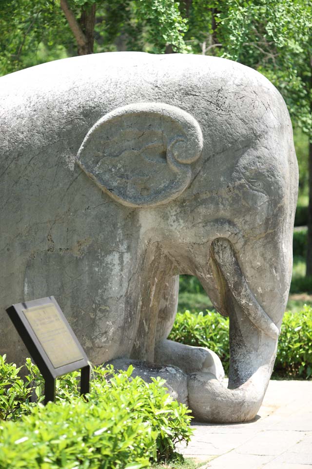 Foto, materieel, vrij, landschap, schilderstuk, bevoorraden foto,Een Ming Xiaoling Mausoleum stenig standbeeld straat, Verblijft, Stenig standbeeld, Een benadering van een heiligdom, Wereld heritage