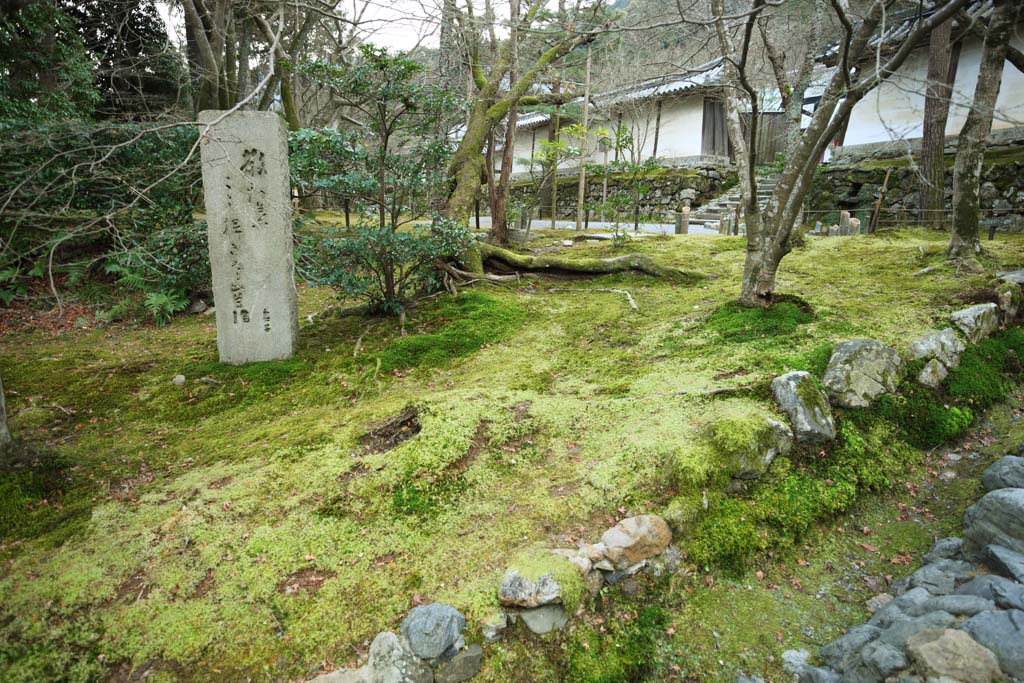 fotografia, material, livra, ajardine, imagine, proveja fotografia,Uma tablete de pedra de Casa de Buda e Amitabha Kyoshi Takahama, Chaitya, O porto com um telhado de conversa de Castelo de Fushimi, Musgo, haiku