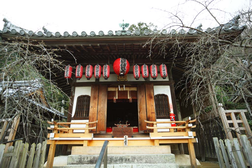 Foto, materiell, befreit, Landschaft, Bild, hat Foto auf Lager,Neun Haus von Buddha und Amitabha Drachen Benzai Heiligtmer von Gott, Blume leitende-Fenster, rote Papierlaterne, steinigen Sie Treppe, Neun Drachen Sarasvati Chinese Phnixe