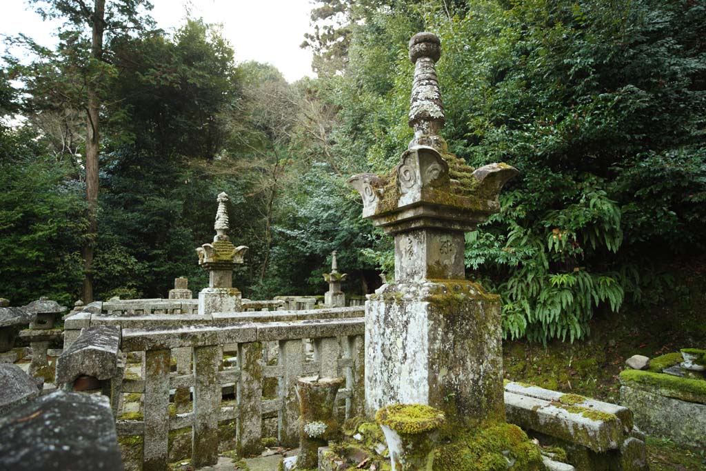 Foto, materieel, vrij, landschap, schilderstuk, bevoorraden foto,Huis van De boeddha en Amitabha gravestone, Mos, Sanskriet karakters, Rijs voor de rust van de geesten uit, Boeddhisme