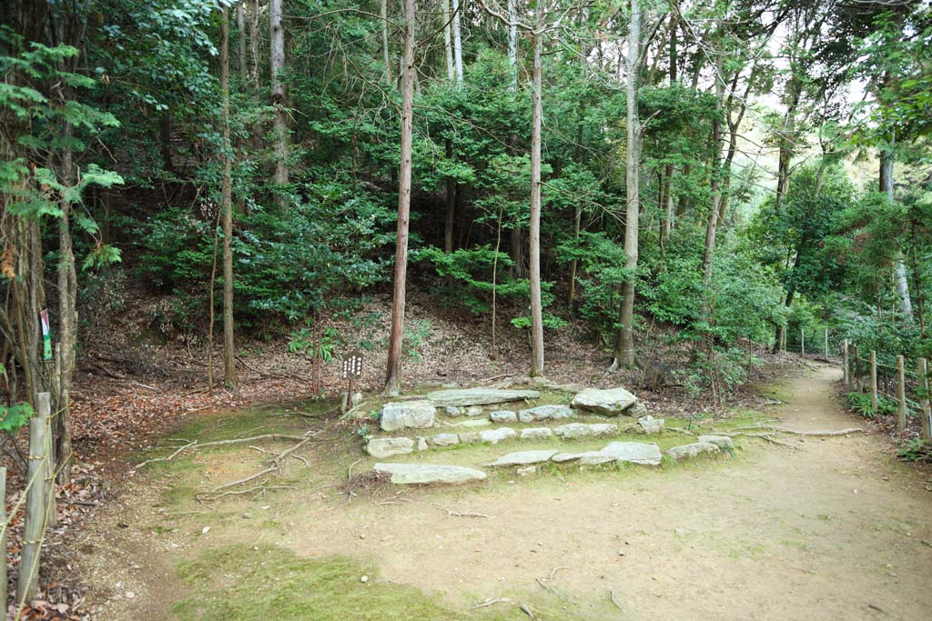 fotografia, materiale, libero il panorama, dipinga, fotografia di scorta,Casa di Budda ed Amitabha autunno doccia pergola traccia, Muschio, La basics, Le rovine, scheda di rappresentazione di giapponese tradizionale