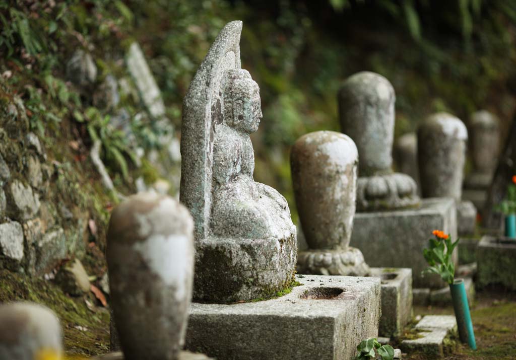 photo, la matire, libre, amnage, dcrivez, photo de la rserve,Maison de Bouddha et pierre tombale Amitabha, Mousse, statue de pierre, pierre tombale, Bouddhisme