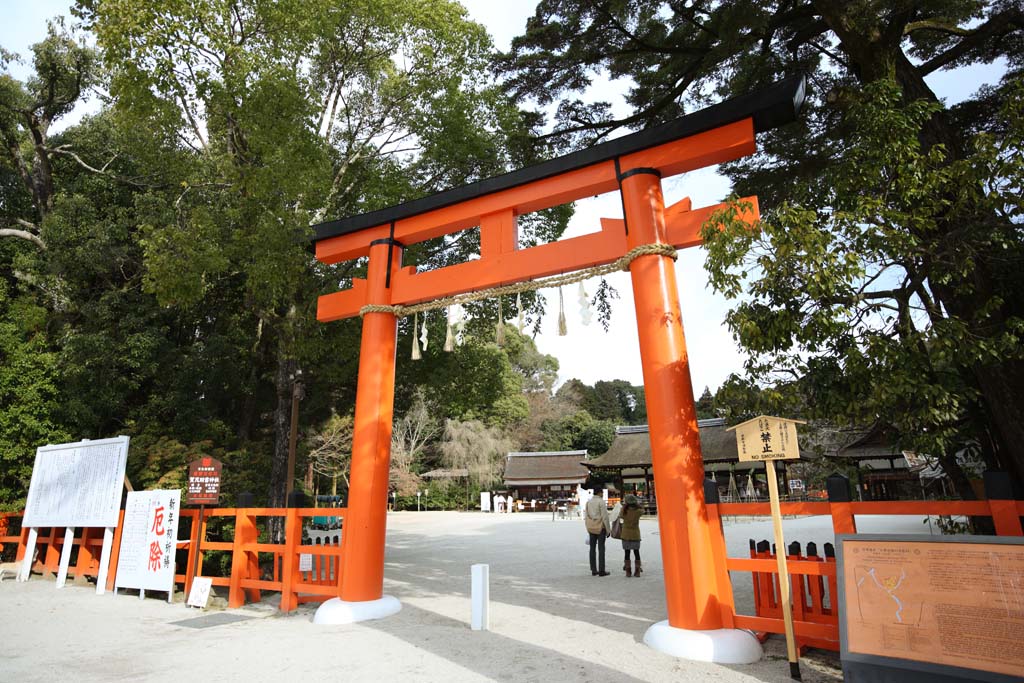 fotografia, material, livra, ajardine, imagine, proveja fotografia,Dois Kamigamo Santurio toriis, torii, Xintosmo palha festo, Preveno contra mal, O imperador