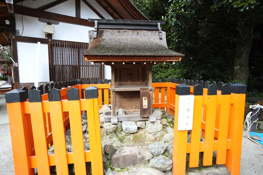 Foto, materieel, vrij, landschap, schilderstuk, bevoorraden foto,Kamigamo Shrine Hashimoto Corporation, Ik word in rood geschilderd, Godheid, Wereld heritage, De Keizer