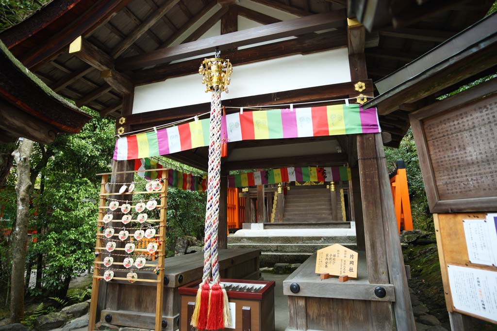 Foto, materiell, befreit, Landschaft, Bild, hat Foto auf Lager,Kamigamo Shrine Kataoka Gesellschaft, Ehestiftend, Die Erzhlung von Genji, Welterbe, Der Kaiser