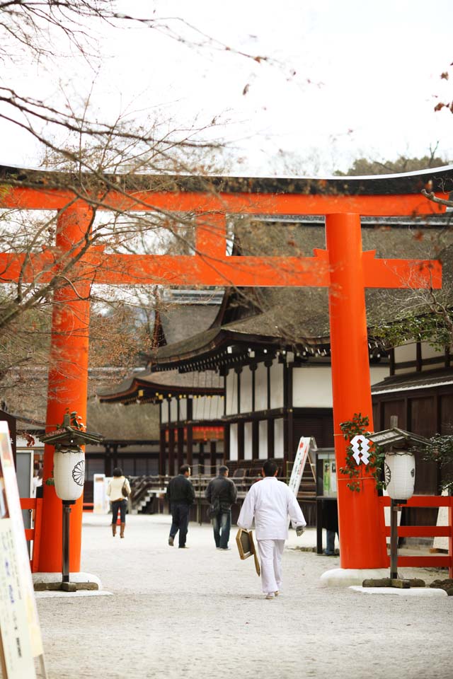 fotografia, material, livra, ajardine, imagine, proveja fotografia,Shimogamo Santurio companhia torii, Eu sou pintado em vermelho, ajardine lanterna, Deus, herana mundial