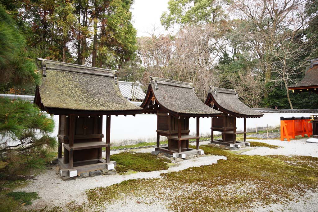 photo,material,free,landscape,picture,stock photo,Creative Commons,Shimogamo Shrine company Mitsui Corporation, An offertory box, wooden building, red pair of stone guardian dogs, Metal fittings of the money