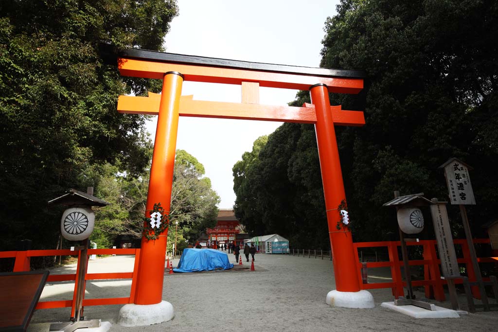 fotografia, material, livra, ajardine, imagine, proveja fotografia,Shimogamo Santurio companhia torii, Xintosmo, Preveno contra mal, Precinto, Xintosmo santurio porto