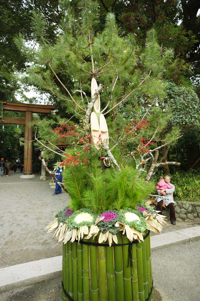 photo,material,free,landscape,picture,stock photo,Creative Commons,Omiwa shrine New Year's pine and bamboo decorations, New Year pine decorations, god controlling a zodiacal year, spirit-dwelling object, Ornamental cabbage