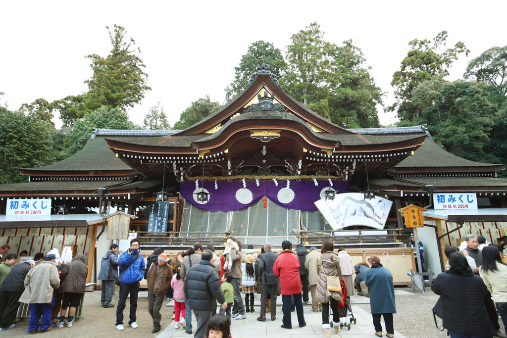 photo,material,free,landscape,picture,stock photo,Creative Commons,Omiwa shrine main shrine, Shinto, Prevention against evil, Precincts, Worship
