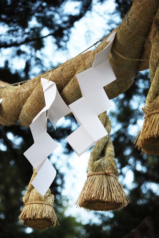 foto,tela,gratis,paisaje,fotografa,idea,Santuario guirnalda de paja sintosta de Omiwa, Shinto, Guirnalda de paja sintosta, Recinto, Apndice de papel