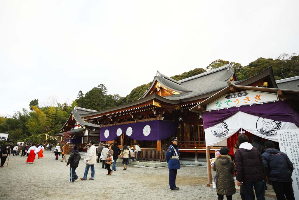 photo,material,free,landscape,picture,stock photo,Creative Commons,Three-wheeled Shinto shrine prayer, Shinto, Pat it; a rabbit, Precincts, Worship