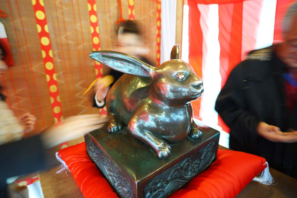 photo, la matire, libre, amnage, dcrivez, photo de la rserve,Caressez le temple shintoste trois- roues; un lapin, Shintosme, Caressez-le; un lapin, Circonscriptions administratives, Dieu lapin