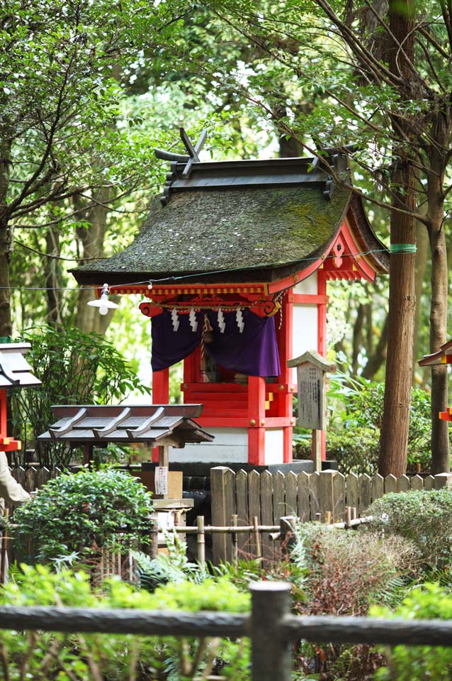 Foto, materieel, vrij, landschap, schilderstuk, bevoorraden foto,Omiwa heiligdom, Shinto, Vrouw van de opperhoofd zen-preutsste Waterplas, Terrein, Krant aanhangsel