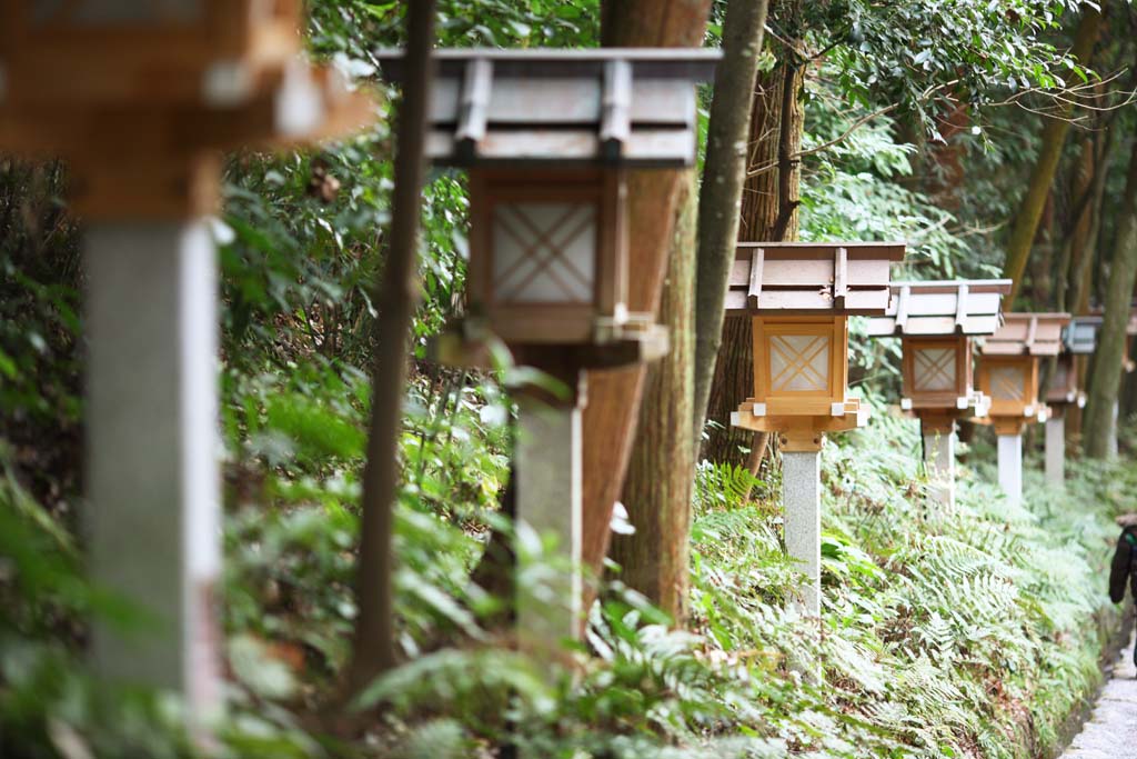 photo,material,free,landscape,picture,stock photo,Creative Commons,Omiwa shrine garden lantern, Shinto, garden lantern, Precincts, Illumination