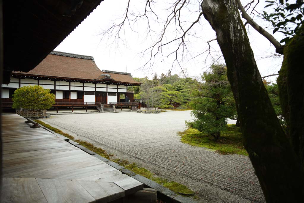 photo, la matire, libre, amnage, dcrivez, photo de la rserve,Temple Ninna-ji jardin de devant de la Salle pour les crmonies de l'tat, jardin, Sable, La maison du vieil aristocrate Palais Imprial, paysage sec jardin japonais