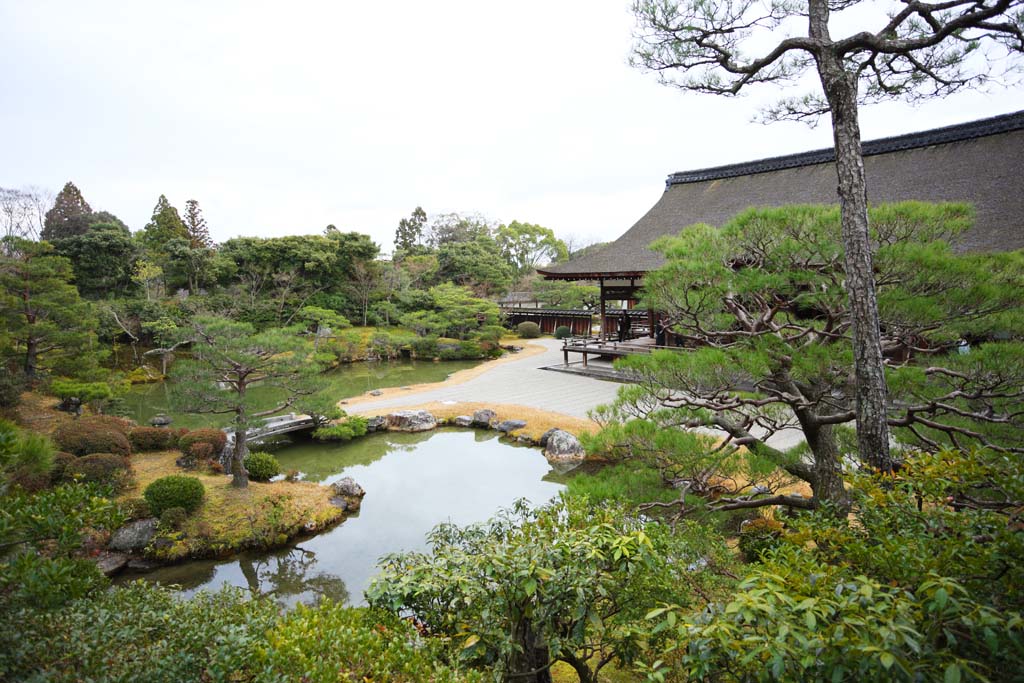 photo, la matire, libre, amnage, dcrivez, photo de la rserve,Temple Ninna-ji jardin nord, Cinq pagode Storeyed, Je suis Japonais-style, tang, style de jardin japonais avec un tang dans le jardin de centre