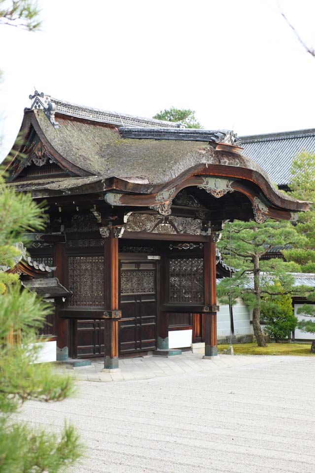 Foto, materiell, befreit, Landschaft, Bild, hat Foto auf Lager,Ninna-ji Temple-Tor fr Kaiserliche Boten, Openwork, Ich bin luxuris, hlzernes Gebude, Ertnen Sie Gras