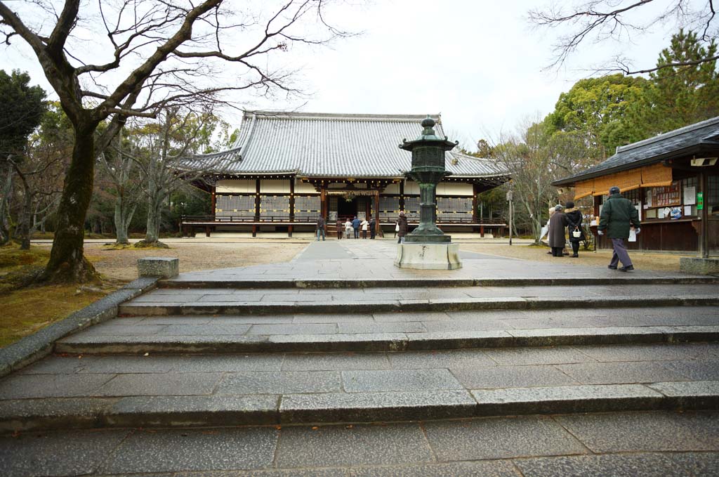 foto,tela,gratis,paisaje,fotografa,idea,Temple templo interior de Ninna - ji, El estilo de la corte imperial, Estructura de habitacin principal, Chaitya, Herencia de mundo