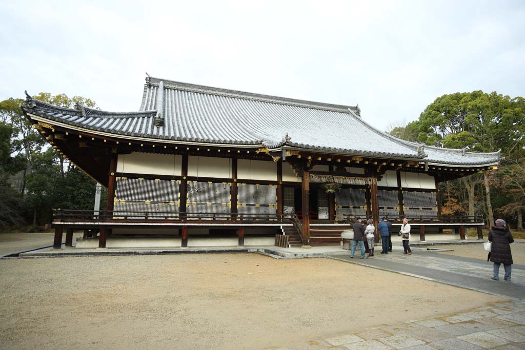 foto,tela,gratis,paisaje,fotografa,idea,Temple templo interior de Ninna - ji, El estilo de la corte imperial, Estructura de habitacin principal, Chaitya, Herencia de mundo