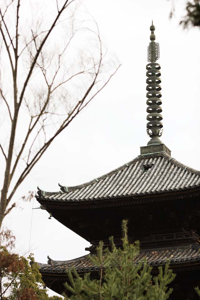 photo, la matire, libre, amnage, dcrivez, photo de la rserve,Temple Ninna-ji cinq pagode Storeyed, treillis, Caractres Sanskrits, Chaitya, patrimoine de l'humanit