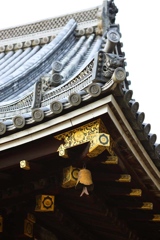 fotografia, materiale, libero il panorama, dipinga, fotografia di scorta,Tempio di Ninna-ji tempio interno, tegola di cresta-fine, struttura di stanza principale, Chaitya, eredit di mondo