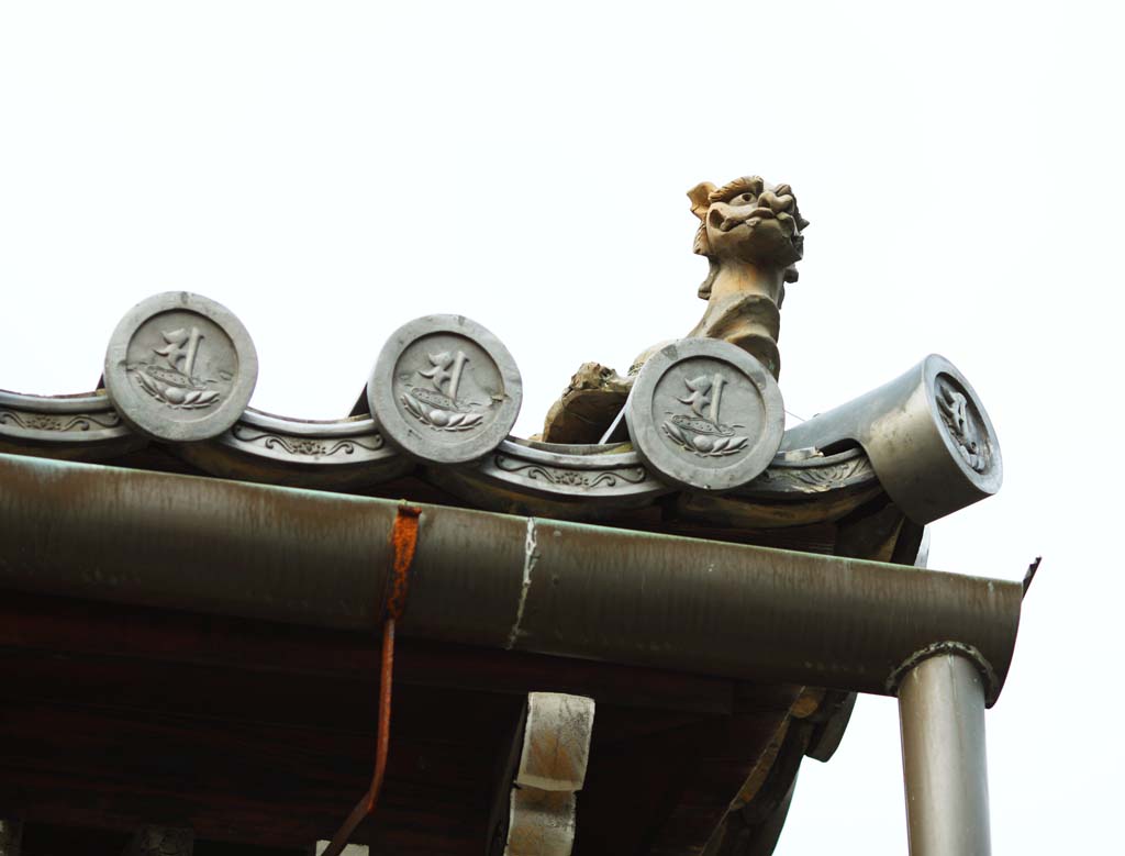 photo,material,free,landscape,picture,stock photo,Creative Commons,Ninna-ji Temple Kannondo, Japanese architectural style, roof tile, Chaitya, world heritage