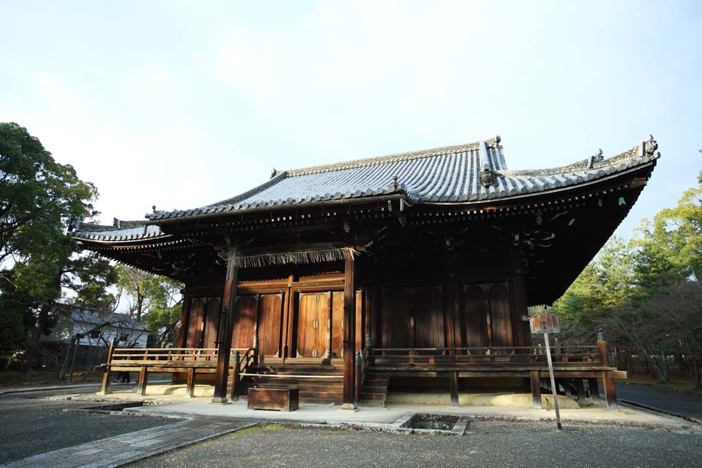 fotografia, material, livra, ajardine, imagine, proveja fotografia,Templo de Ninna-ji Kannondo, Estilo arquitetnico japons, Os Kannon-com-um-mil-braos, Chaitya, herana mundial