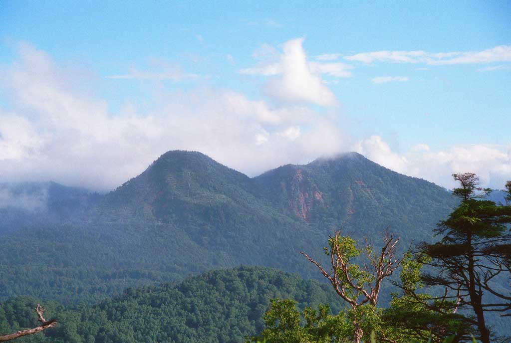 fotografia, materiale, libero il panorama, dipinga, fotografia di scorta,Montagne blu, montagna, cielo blu, albero, 