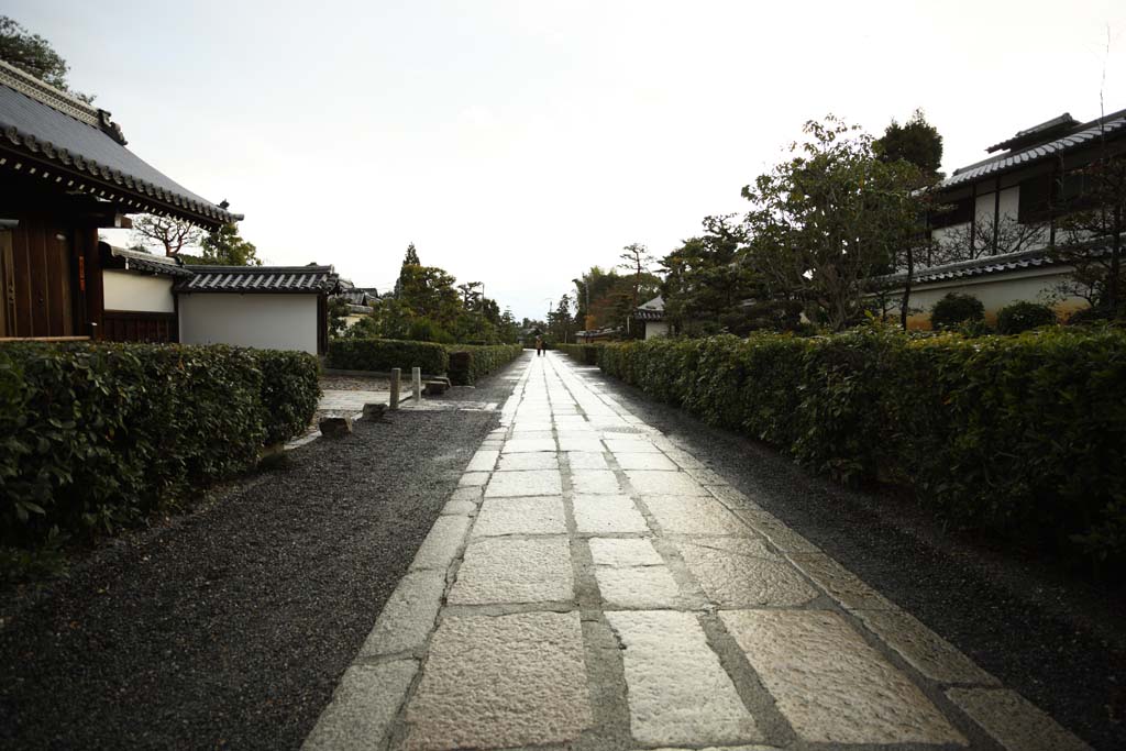 fotografia, materiale, libero il panorama, dipinga, fotografia di scorta,Approccio di Tempio di Myoshin-ji ad un sacrario, prenda a sassate pavimentazione, Alla buio, Chaitya, tempio che appartiene alla setta Zen