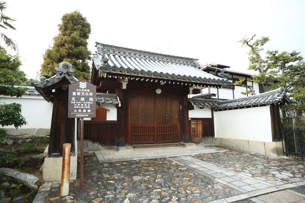 Foto, materiell, befreit, Landschaft, Bild, hat Foto auf Lager,Myoshin-ji Temple himmlisches Sphrenhaus, Egen Kanzan, forsten Sie Boden, Der Blumengartenpapst, Tempelbesitzstck zur Zensekte