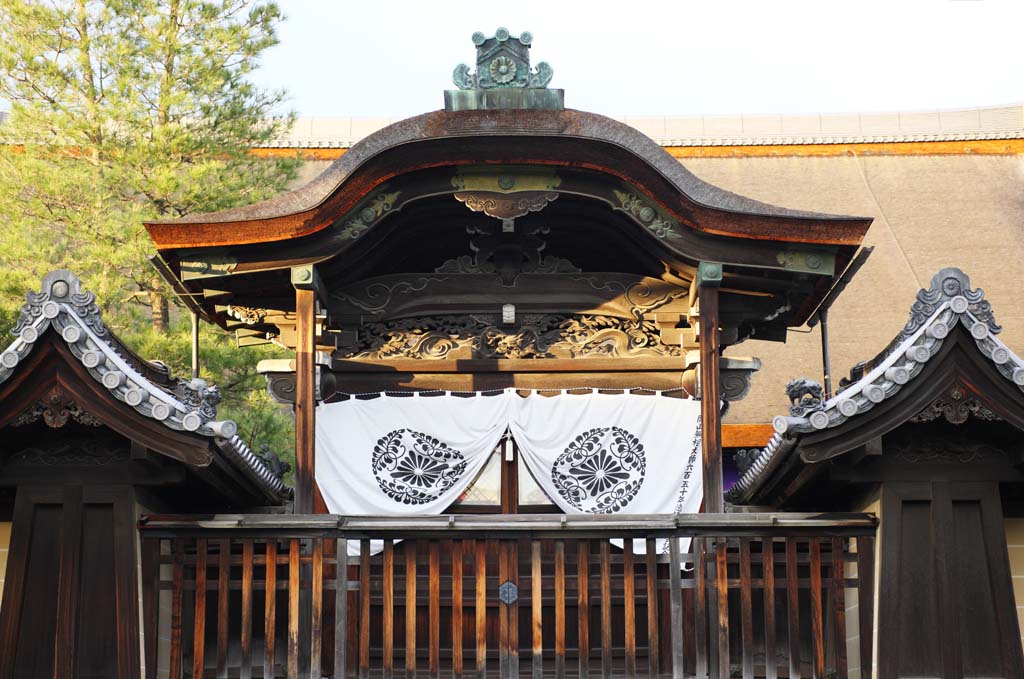 fotografia, material, livra, ajardine, imagine, proveja fotografia,Templo de Myoshin-ji grande comprimento de poro, Egen Kanzan, fundo de floresta, O papa de jardim de flor, templo que pertence  seita de Zen