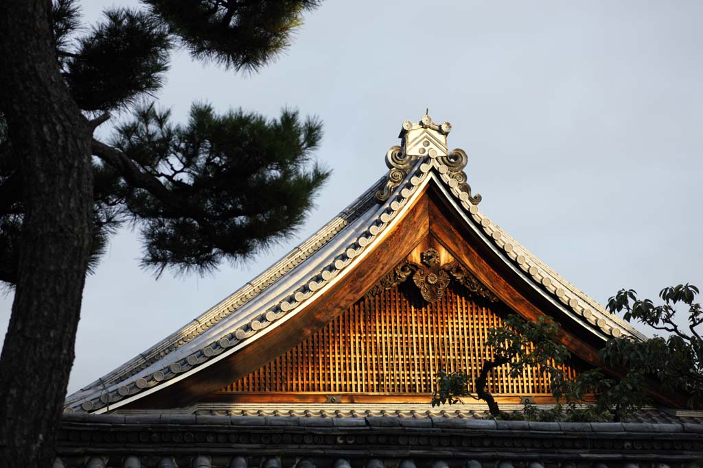 Foto, materiell, befreit, Landschaft, Bild, hat Foto auf Lager,Myoshin-ji Temple Tokai-Einsiedelei, Egen Kanzan, forsten Sie Boden, Der Blumengartenpapst, Tempelbesitzstck zur Zensekte